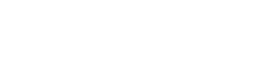Visfes logo